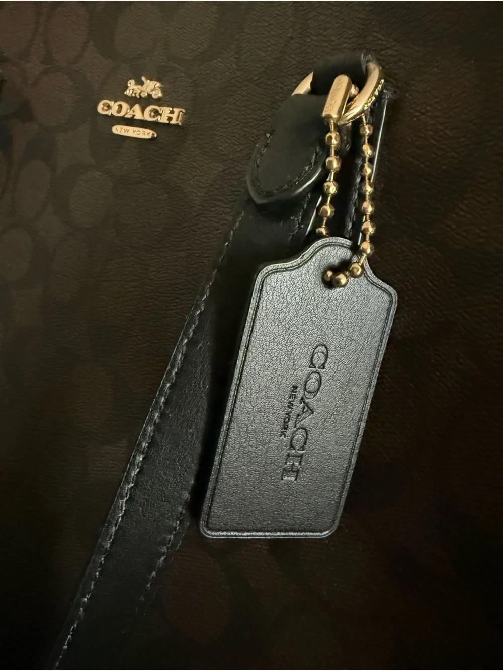 Coach Signature Canvas Tatum Carryall with Red Interior